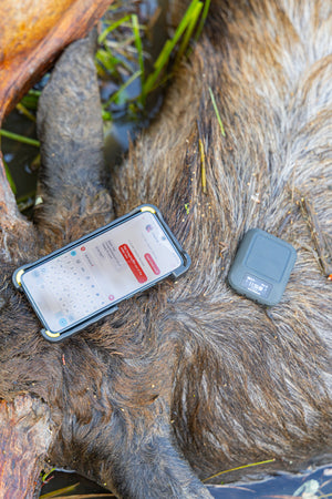 Garmin Messenger with iPhone on a Alaska Moose Hunt