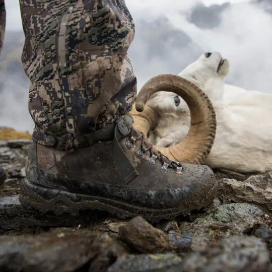 Crispi Nevada in field on hunt