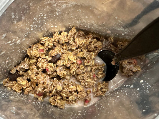 FOUNDATION Outdoors Berry Dark Chocolate Granola