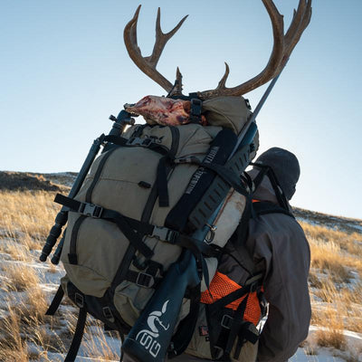 A backcountry hunter wearing the Stone Glacier Sky 5900 Backpack in foliage while packing out a mule deer buck that he harvested.